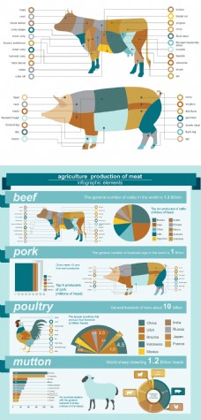 猪矢量素材农业畜牧业信息图表矢量素材