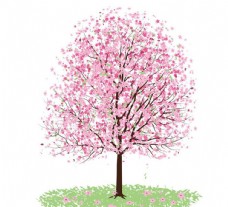 樱桃树粉色花树桃花樱花